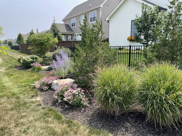 Lemcke Landscape Picture 4