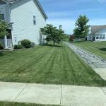 Medusa Outdoor Design, LLC