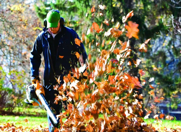 Plowz & Mowz - Snow Removal and Lawn Care Service ️ Picture 4
