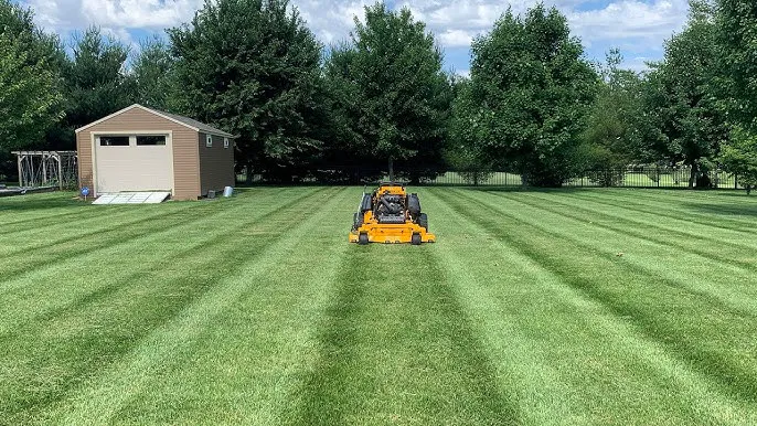 Outdoor care LLC Picture 2