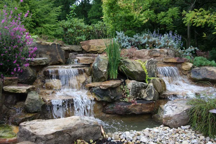 Pro Care Horticultural Services Picture 6