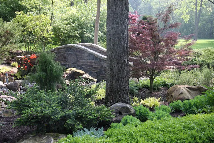 Pro Care Horticultural Services Picture 8