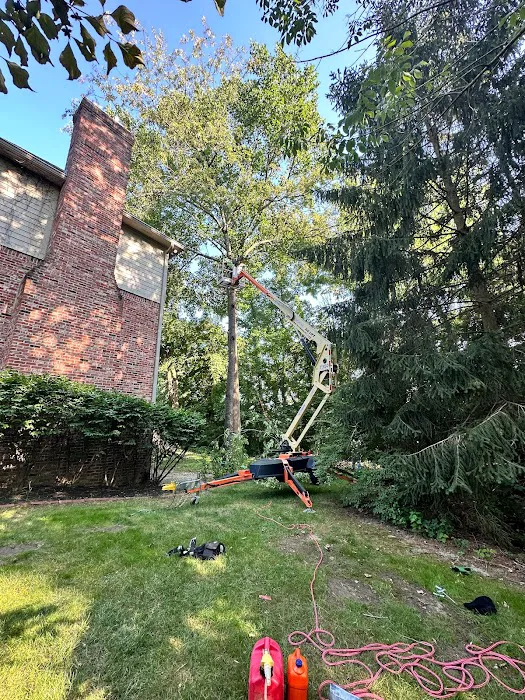 New Gen Landscaping LLC Picture 2