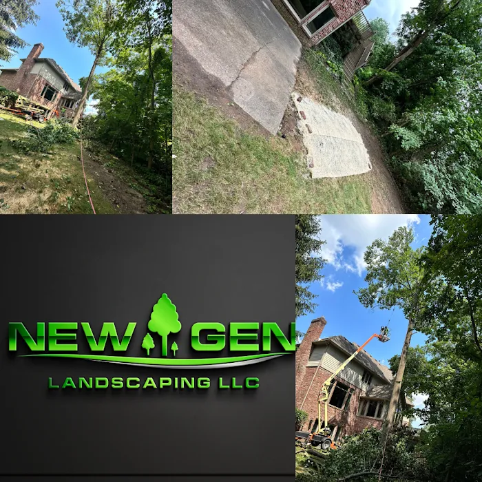 New Gen Landscaping LLC Picture 4