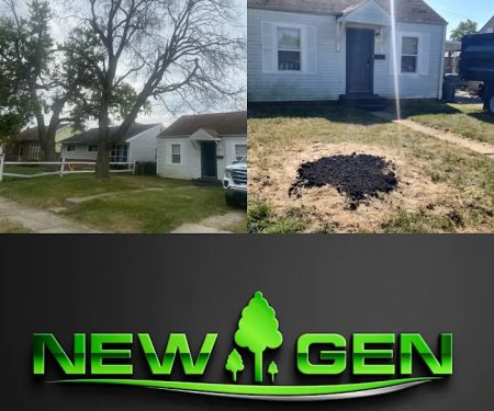 New Gen Landscaping LLC