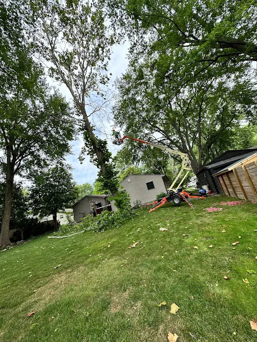 New Gen Landscaping LLC Picture 10