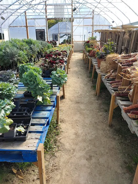 District 6 Market Picture 6
