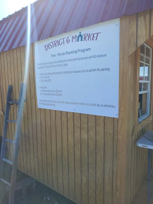 District 6 Market Picture 4