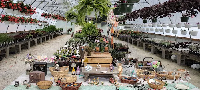 District 6 Market Picture 3