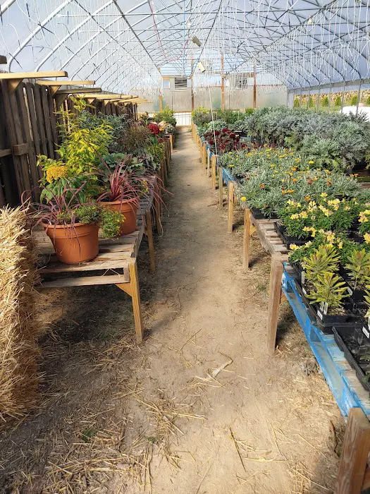 District 6 Market Picture 9