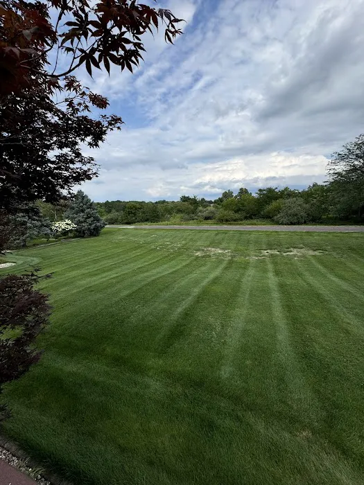 Premier Landscape Services LLC Picture 3
