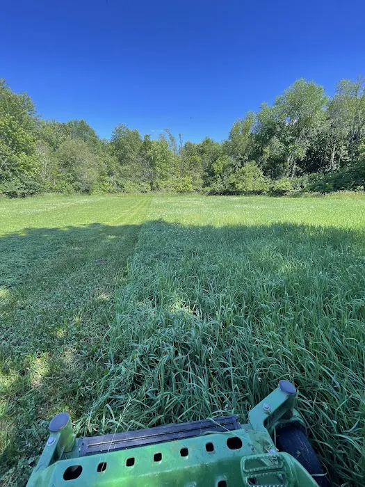 Premier Landscape Services LLC Picture 5