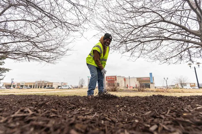Peoria Mulch Picture 4