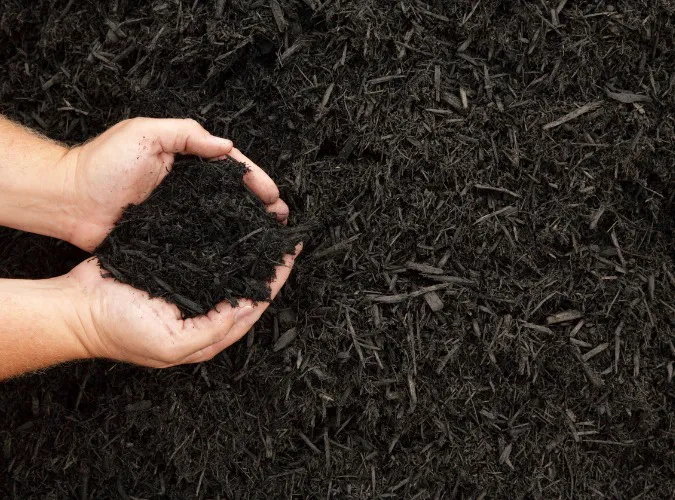 Peoria Mulch Picture 3