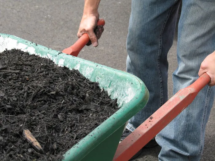Peoria Mulch Picture 5