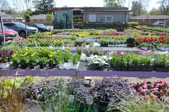 Sheridan Nursery Picture 4