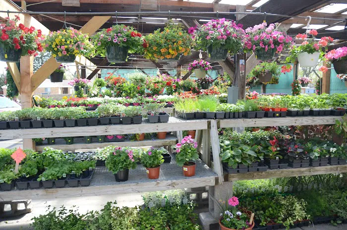 Sheridan Nursery Picture 5