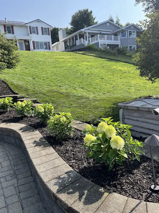 Rios Lawn Care LLC Picture 2