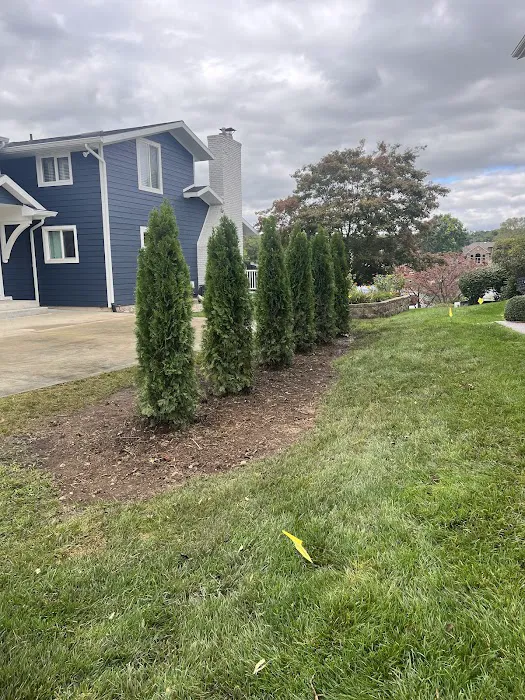 Rios Lawn Care LLC Picture 7