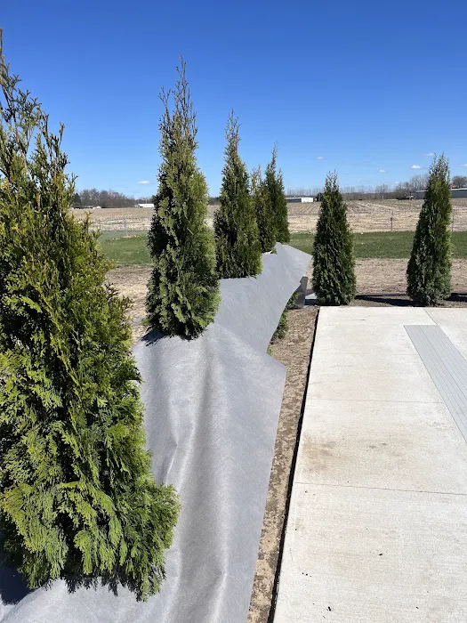 Rios Lawn Care LLC Picture 4