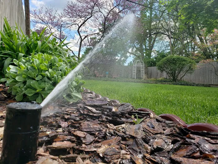 Ace of Spades Irrigation Picture 5