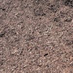 Sipla Landscape Company