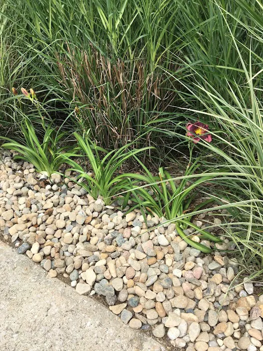 Blankenship’s Greenhouse, Landscaping & Lawncare Picture 10