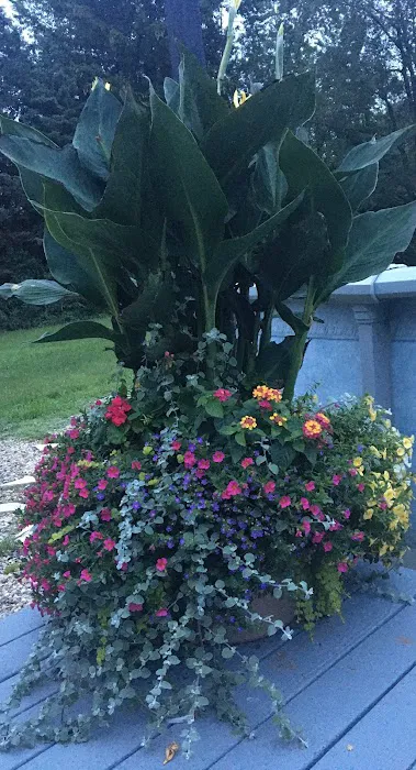 Blankenship’s Greenhouse, Landscaping & Lawncare Picture 1