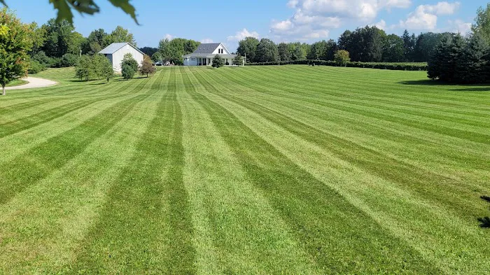 Manzano's Landscaping Services LLC. Picture 2