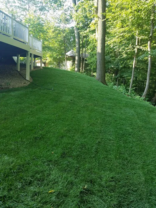 Manzano's Landscaping Services LLC. Picture 4