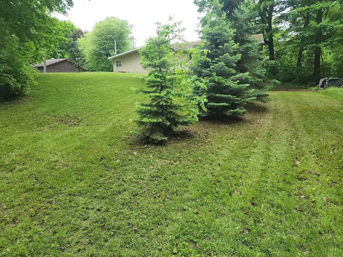 Thom's Lawn Care Picture 5
