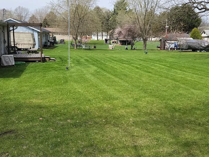 Thom's Lawn Care Picture 1