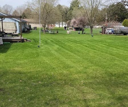 Thom's Lawn Care