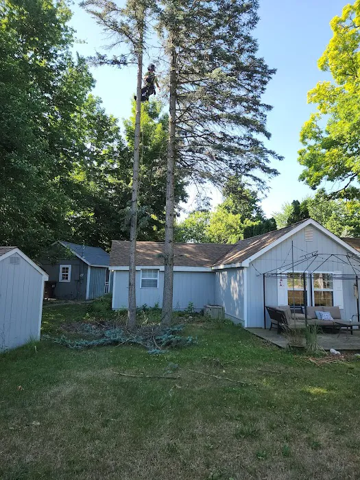 Thom's Lawn Care Picture 7