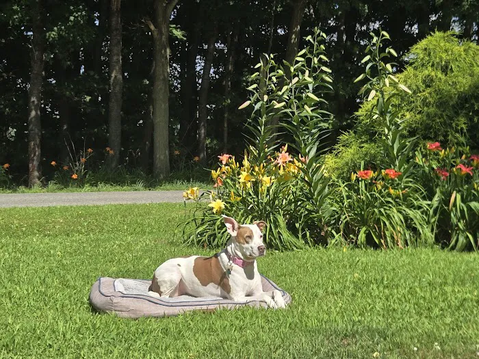 First Impressions Landscaping Picture 1