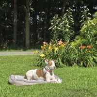 First Impressions Landscaping ico