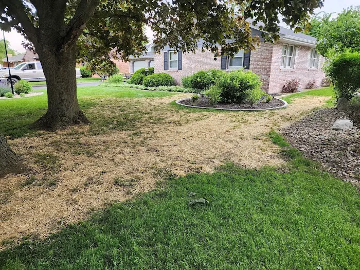All Pro Lawn & Landscape Picture 9