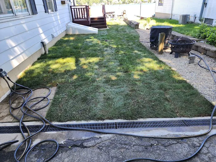 All Pro Lawn & Landscape Picture 8