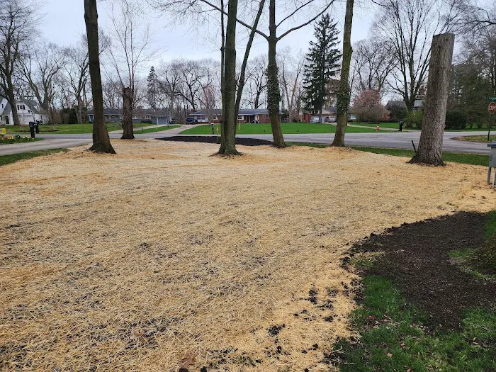 All Pro Lawn & Landscape Picture 6