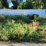 All Pro Lawn & Landscape