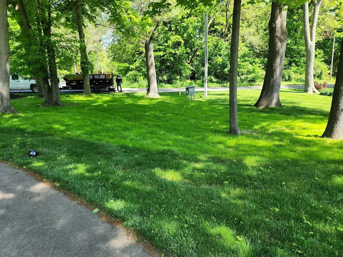 All Pro Lawn & Landscape Picture 2