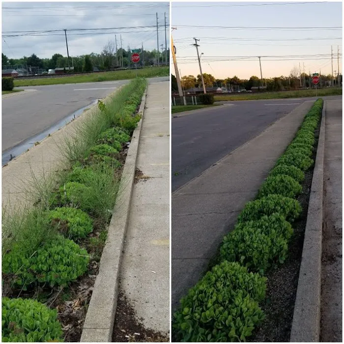 Complete Lawn Care LLC Picture 8