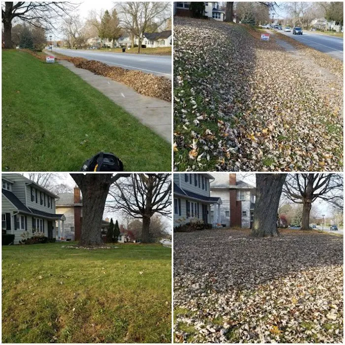 Complete Lawn Care LLC Picture 6