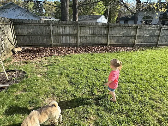 Frankenberger Lawn Care LLC Picture 2