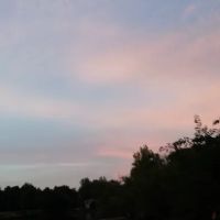 Crystal Valley Landscaping ico
