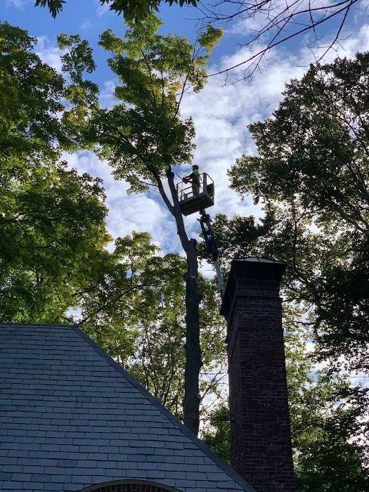 Michiana Tree Works Inc Picture 6