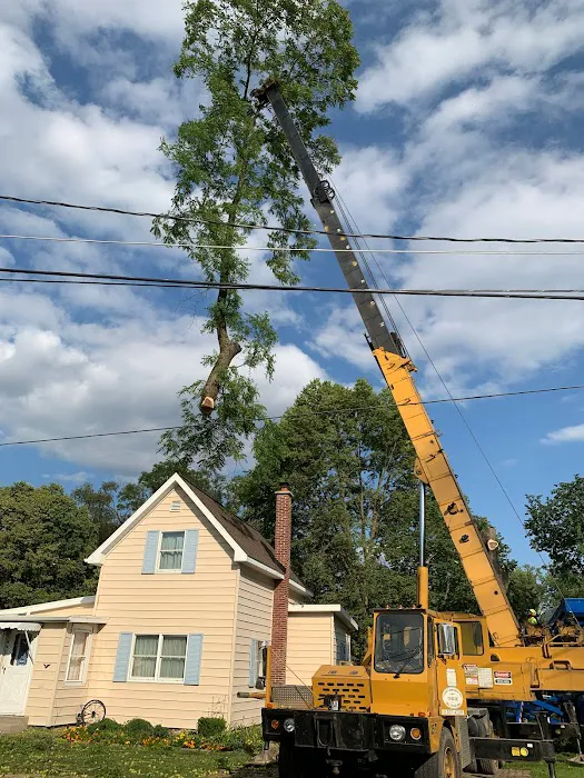 Michiana Tree Works Inc Picture 4