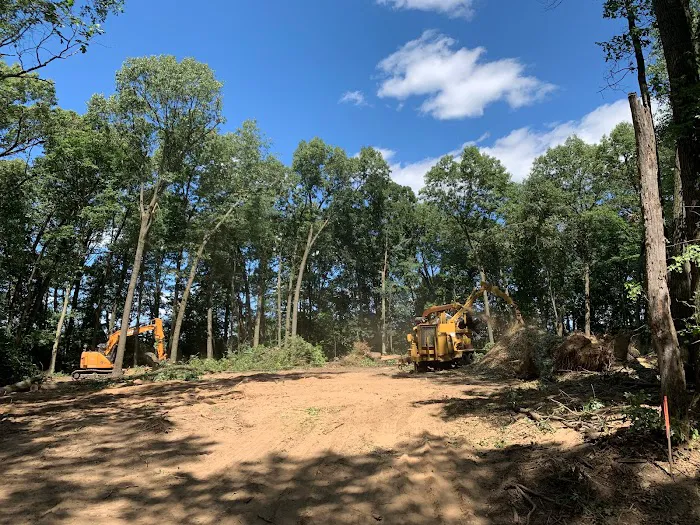 Michiana Tree Works Inc Picture 2
