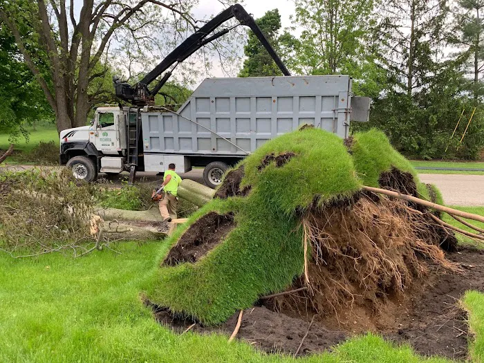 Michiana Tree Works Inc Picture 5