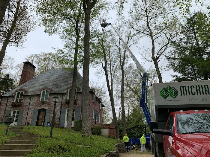 Michiana Tree Works Inc Picture 3